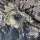 Imagen para el artículo titulado Tras los huecos del planeta: agujeros fascinantes de la Tierra